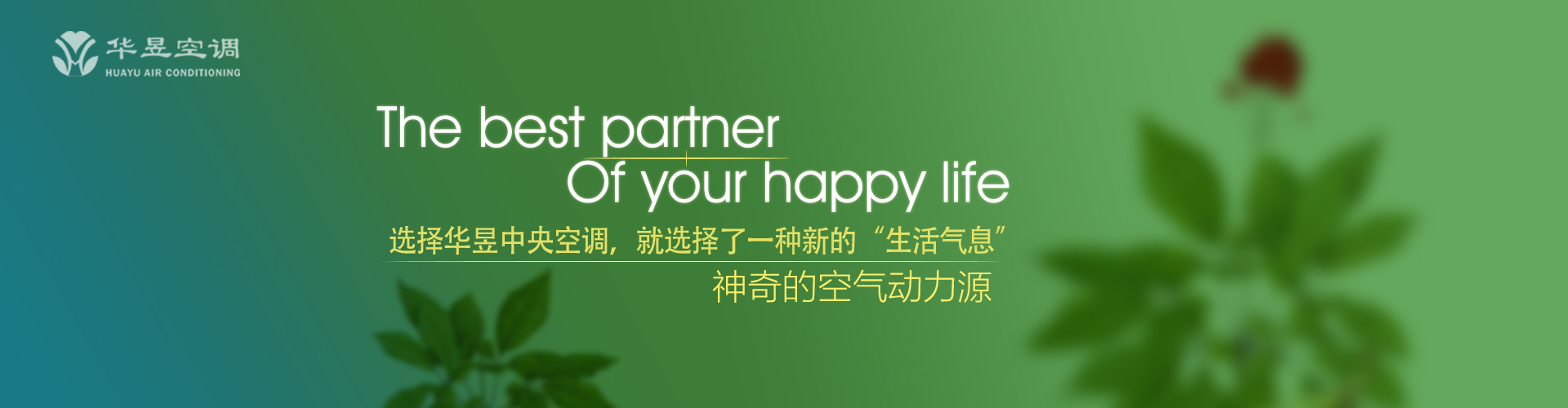 箭不虚发网